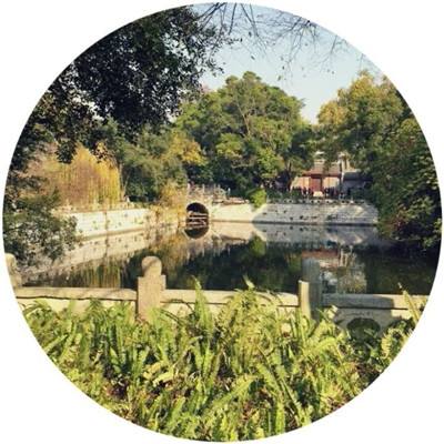 勇士纹章官方版下载
